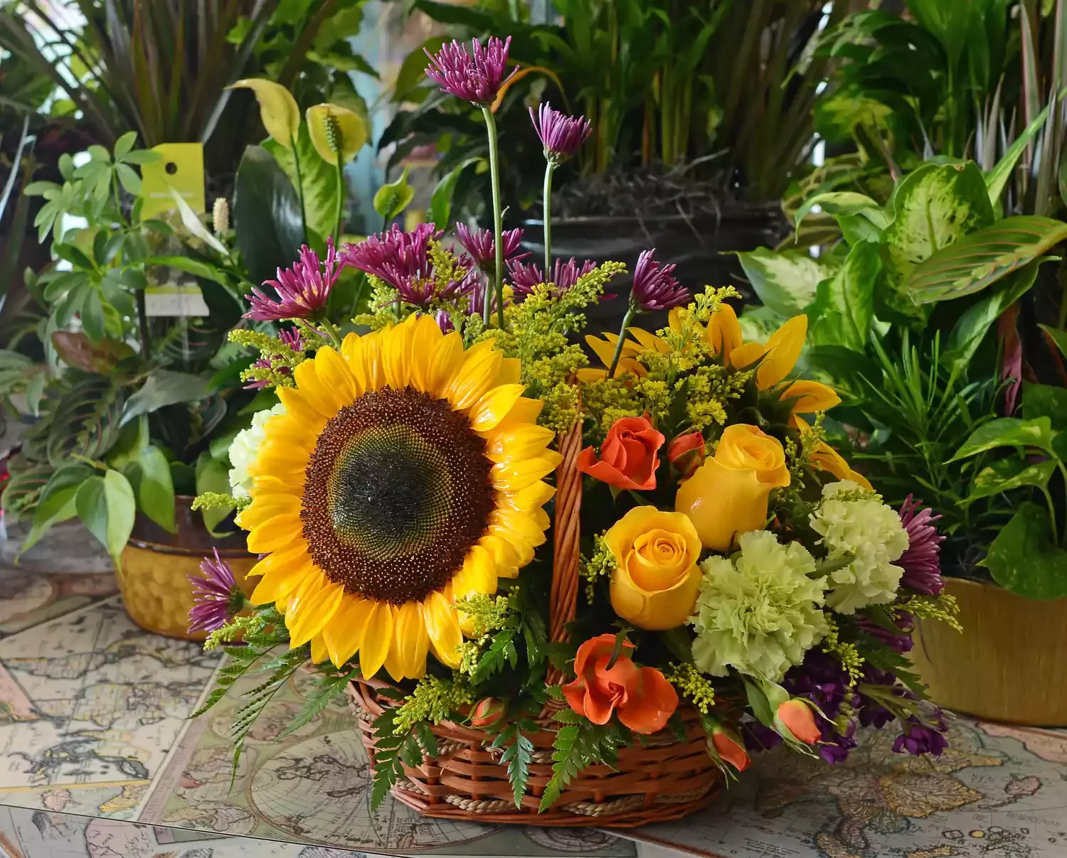 20 Stunning Fall Container Ideas to Transform Your Outdoor Space 5 Sunflower Assortment