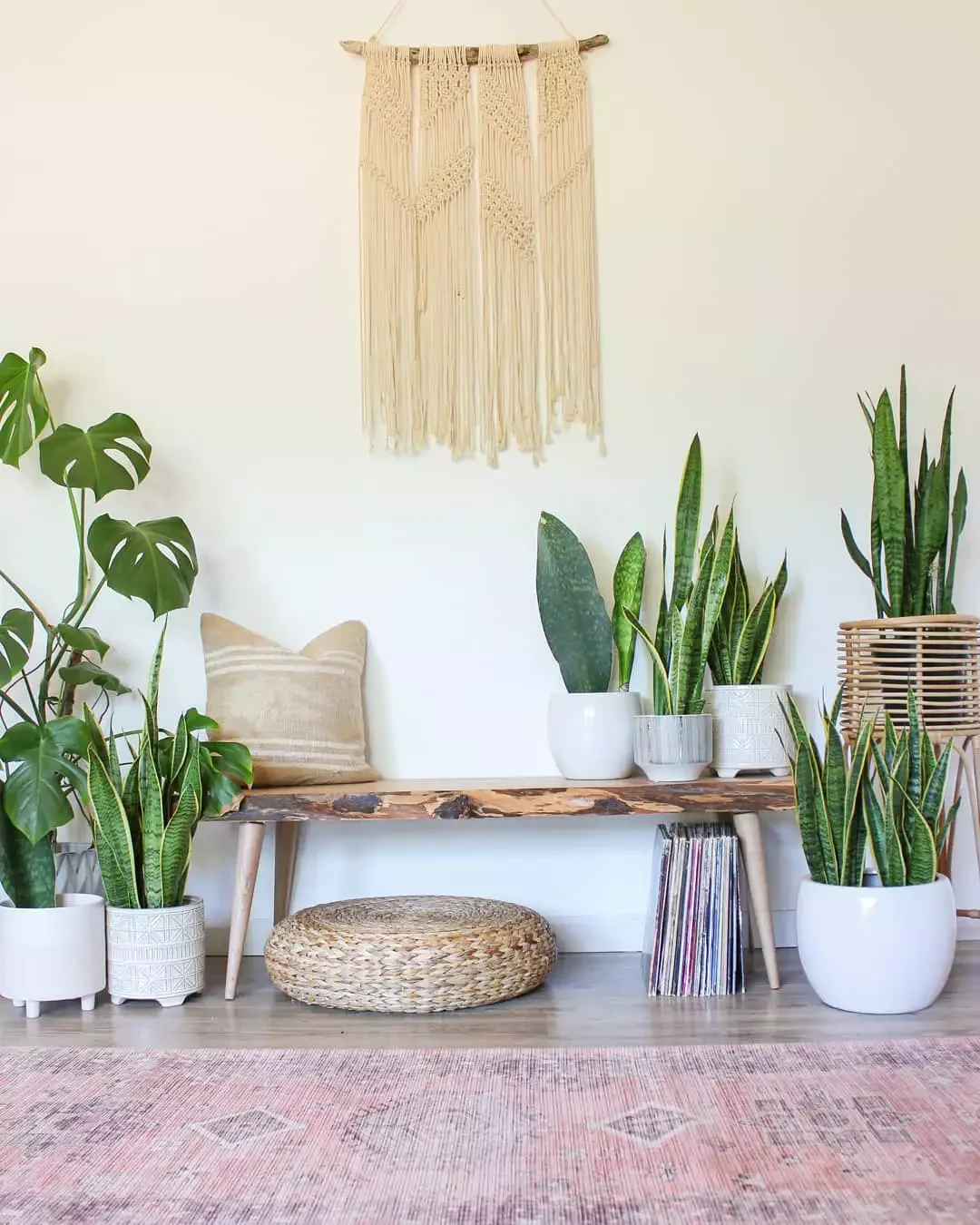 48 Cozy Small Sunroom Ideas That Will Transform Your Space 46 Sunroom Plant Displays