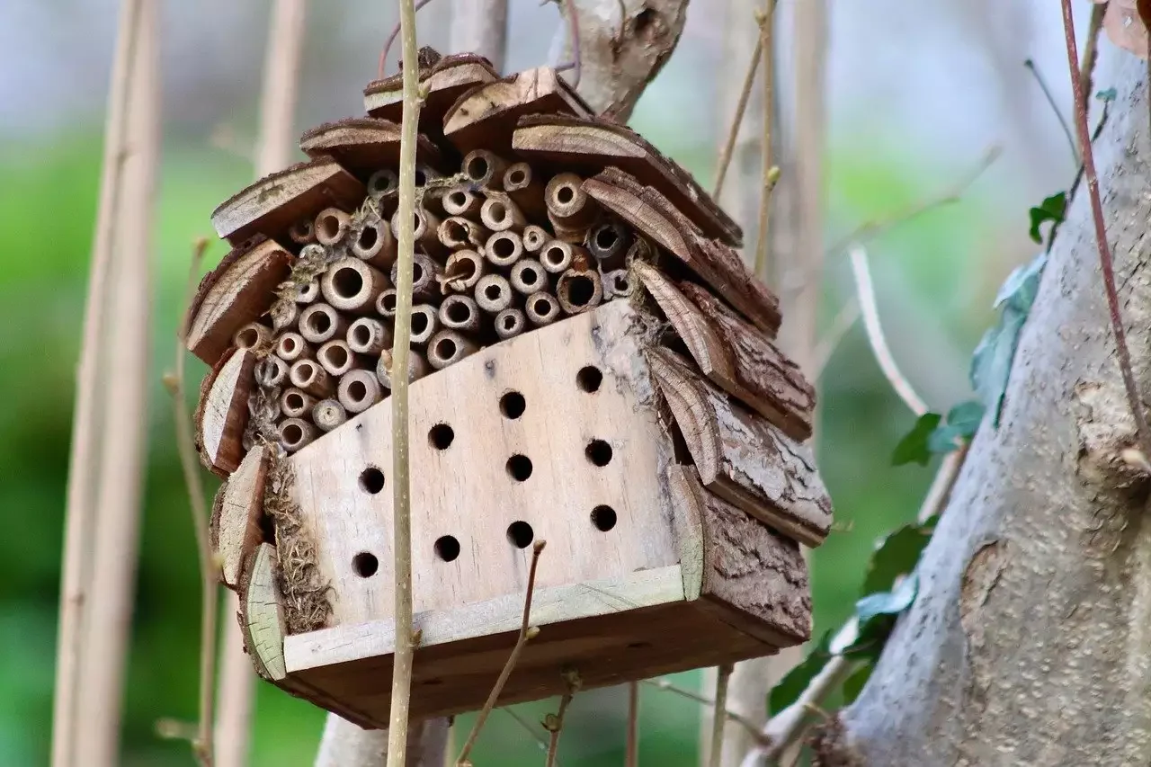 22 Cold-Season Garden Projects That Will Transform Your Outdoor Space This Winter 12 Support Pollinators