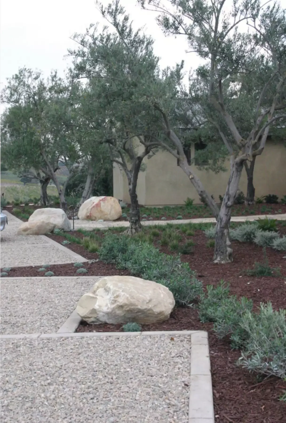 15 Creative Ways to Transform the Space Around Your Trees Surround Olive Trees With Redwood Mulch