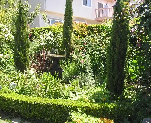 26 Outdoor Privacy Screen Ideas That Create a Private Sanctuary Taste of Tuscany