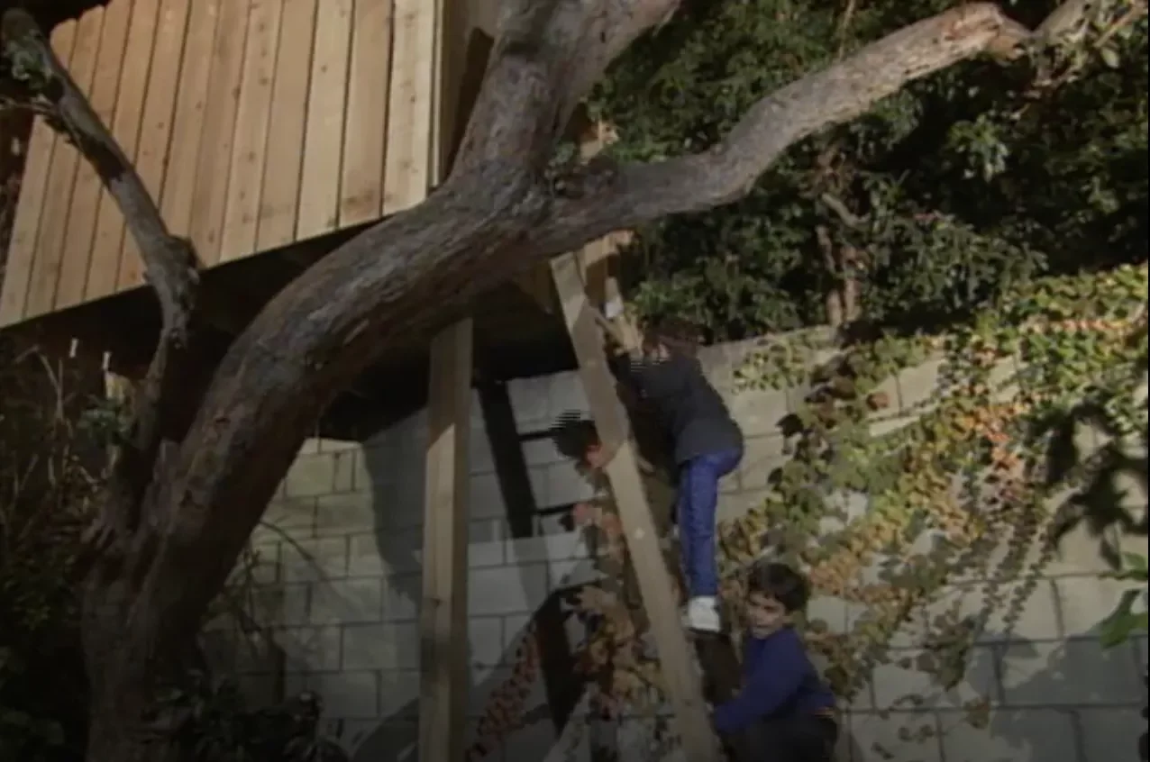 28 Amazing Treehouse Design Ideas That Will Transform Your Backyard 23 Team Up With Your Neighbors