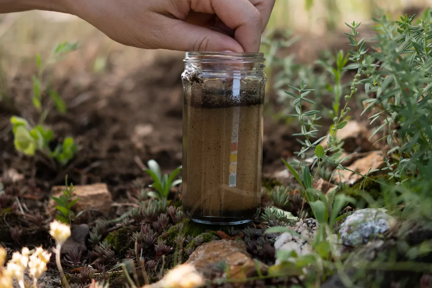 22 Cold-Season Garden Projects That Will Transform Your Outdoor Space This Winter 4 Test Your Soil