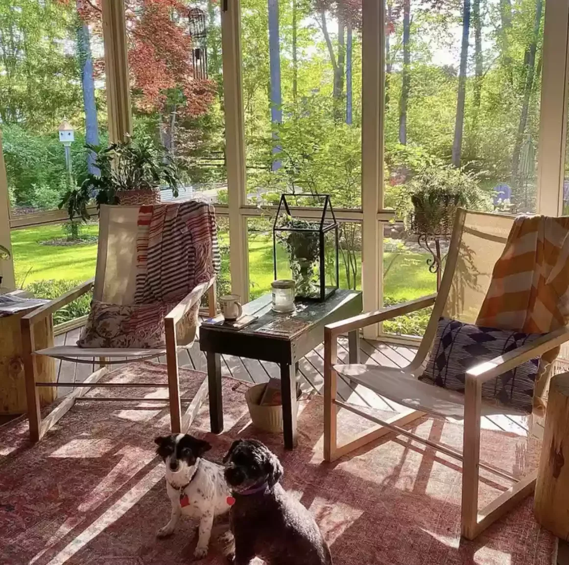 29 Stunning Three-Season Porch Ideas That'll Make You Want to Live Outdoors 8 The Dog-Friendly Patio