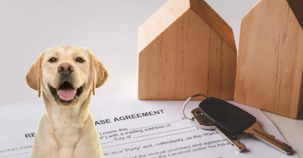 The Landlord'S Control Over The Property And Dog-Related Amenities