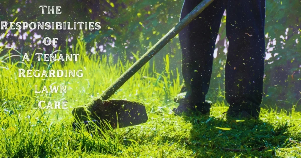 The Responsibilities Of A Tenant Regarding Lawn Care