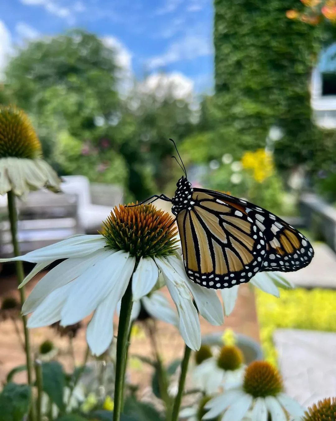 35 Enchanting Cottage Garden Ideas That Transform Your Outdoor Space Into a Magical Retreat Think About the Pollinators