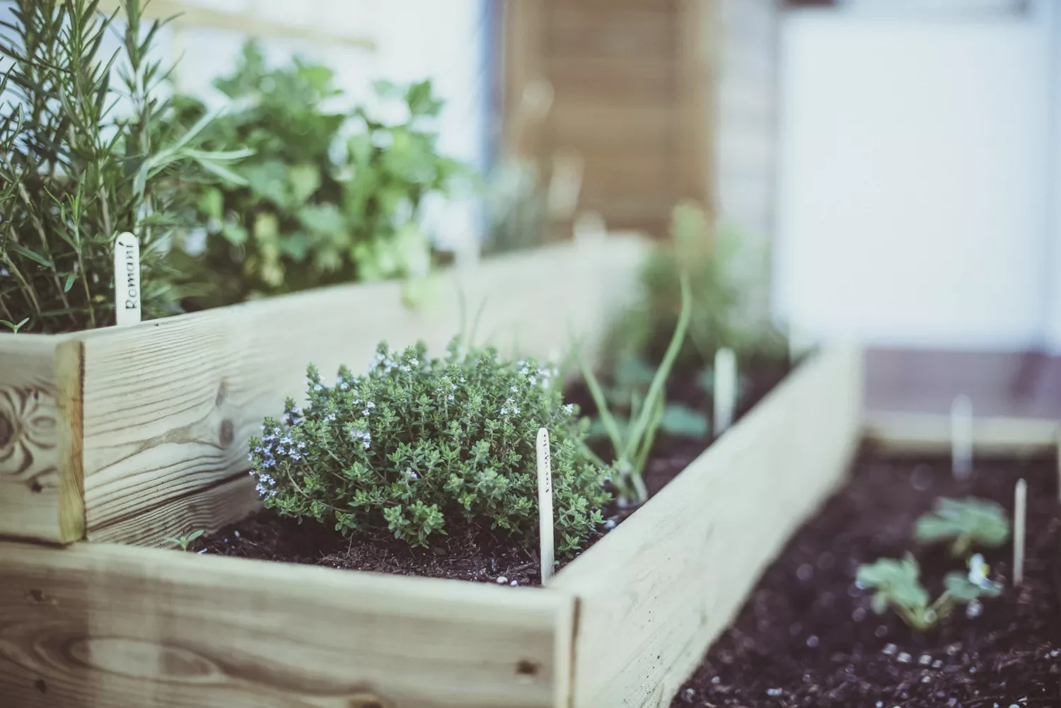 10 Raised Garden Bed Ideas That Maximize Small Spaces Tiered Garden Beds