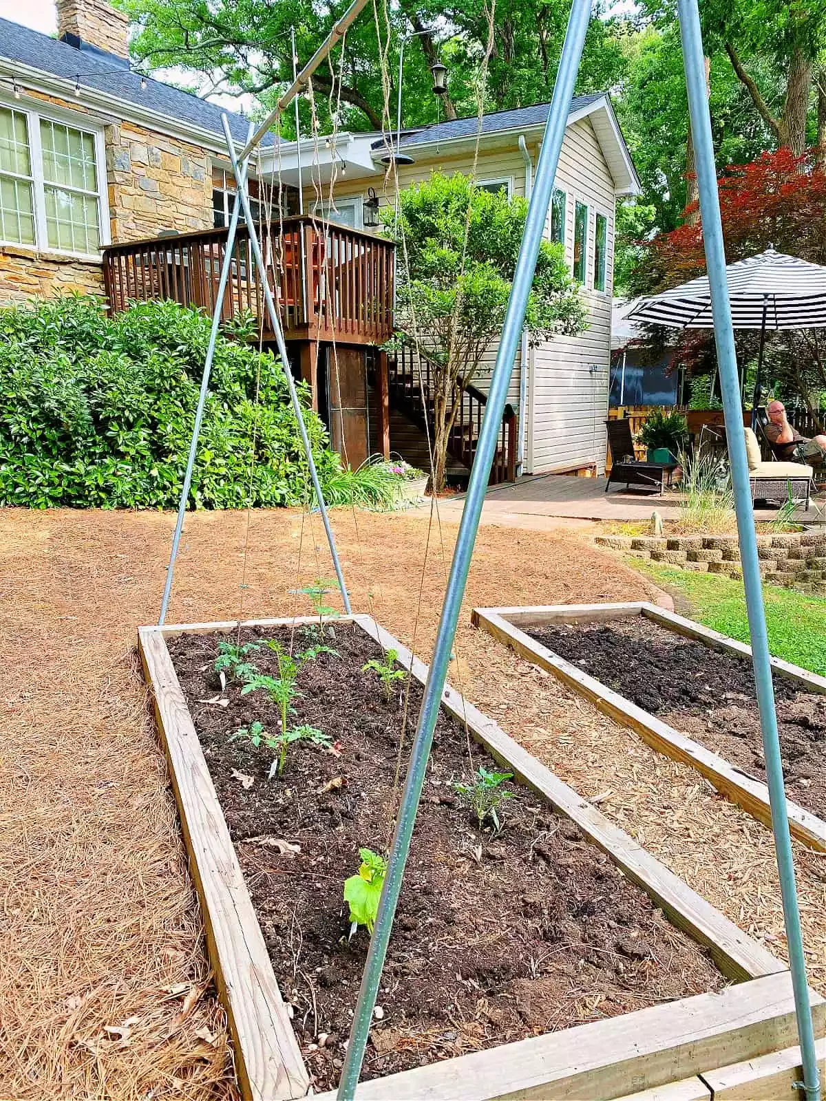 35 Creative DIY Garden Projects to Transform Your Outdoor Space Tomato Trellis With Conduit