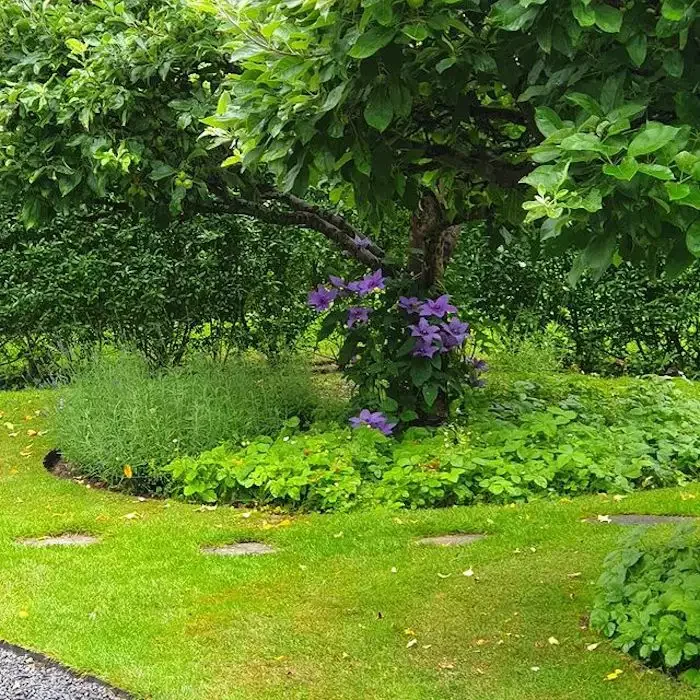 82 Stunning Front Yard Landscaping Ideas to Transform Your Home's Curb Appeal This Spring Tree Garden