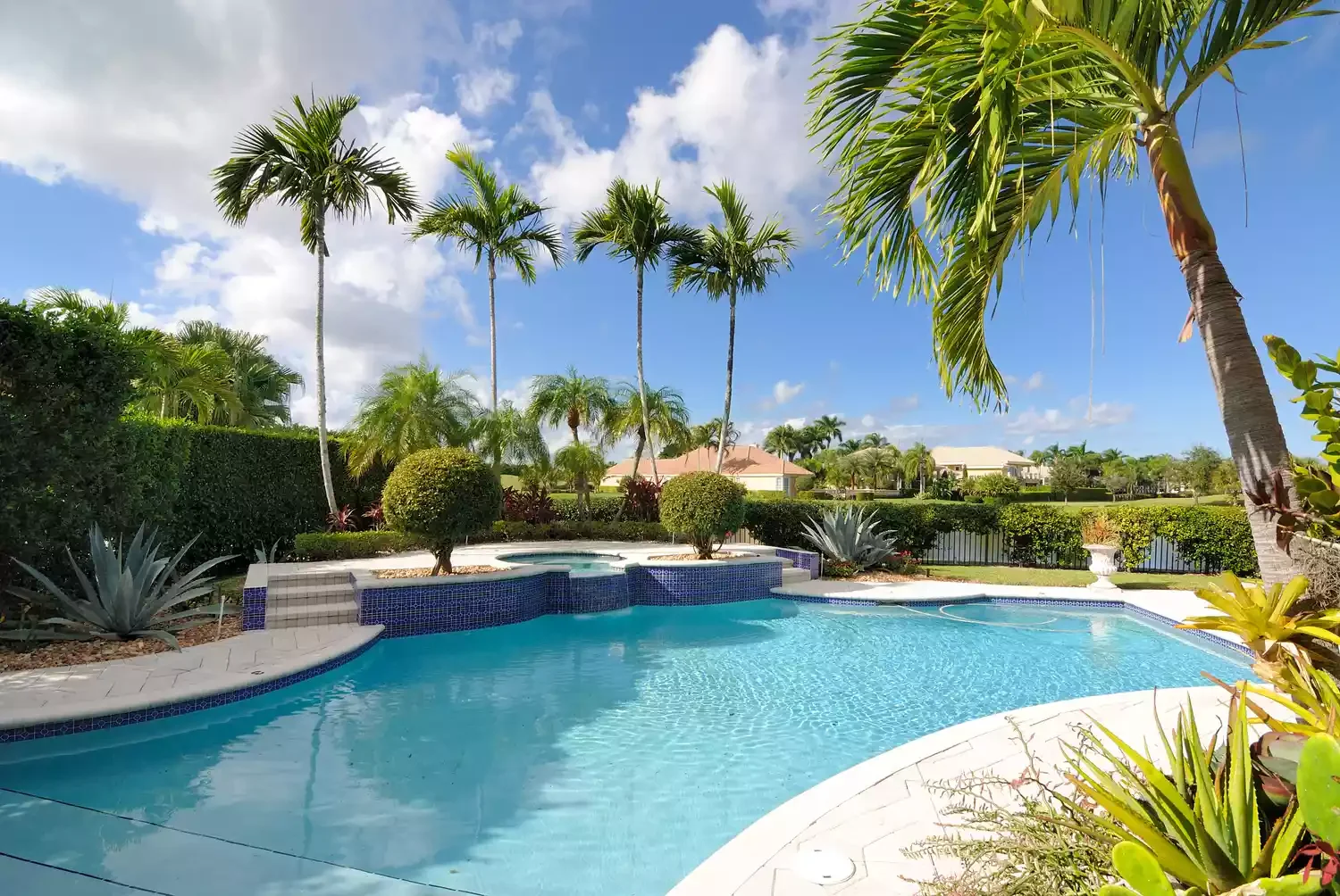 16 Pool Landscaping Ideas That Transform Your Area Trees