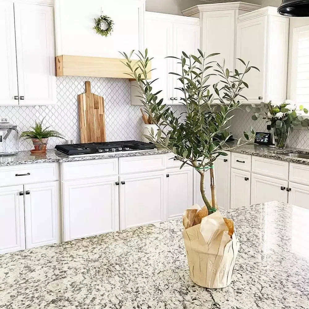 37 Stunning Backsplash Ideas That Make White Cabinets and Granite Countertops Shine Trellis Pattern