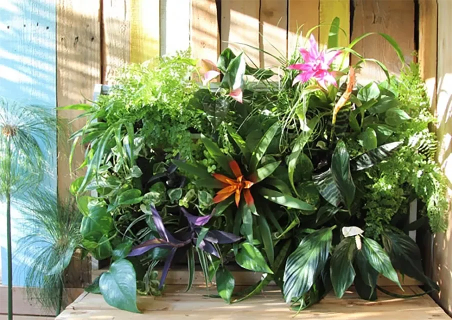 35 Corner Garden Designs That Transform Every Outdoor Space Tropical Living Plant Wall