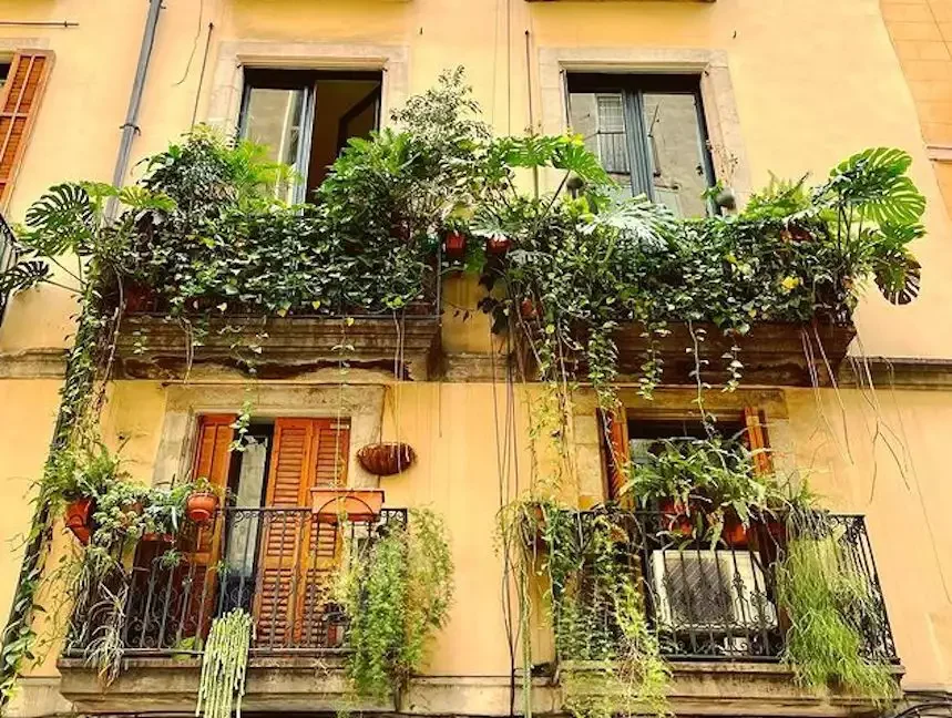 82 Stunning Front Yard Landscaping Ideas to Transform Your Home's Curb Appeal This Spring Tropical-Style Window Boxes
