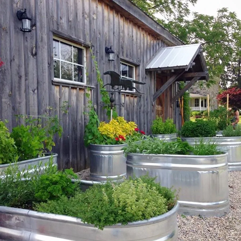 Trough Garden Beds