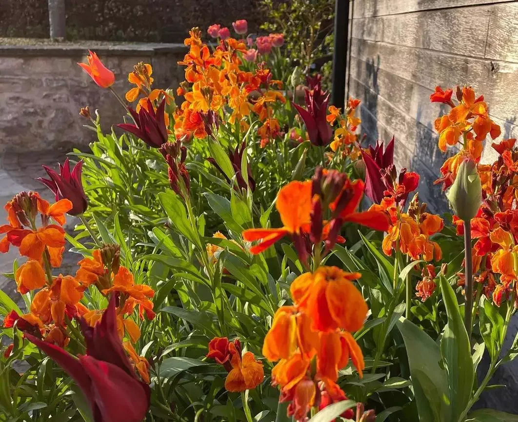 37 Stunning Flower Bed Designs That Will Transform Your Garden Try Fire Tones