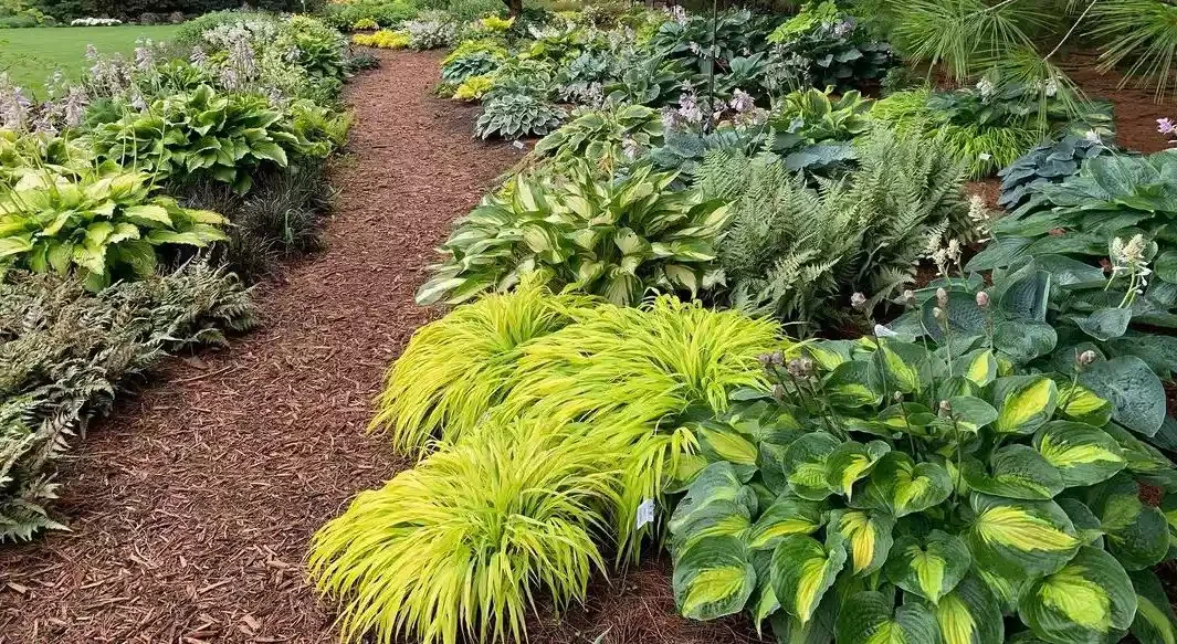 37 Stunning Flower Bed Designs That Will Transform Your Garden Try Hosta Beds in the Shade