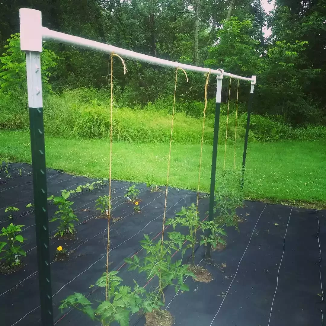 Try PVC Pipes for Support