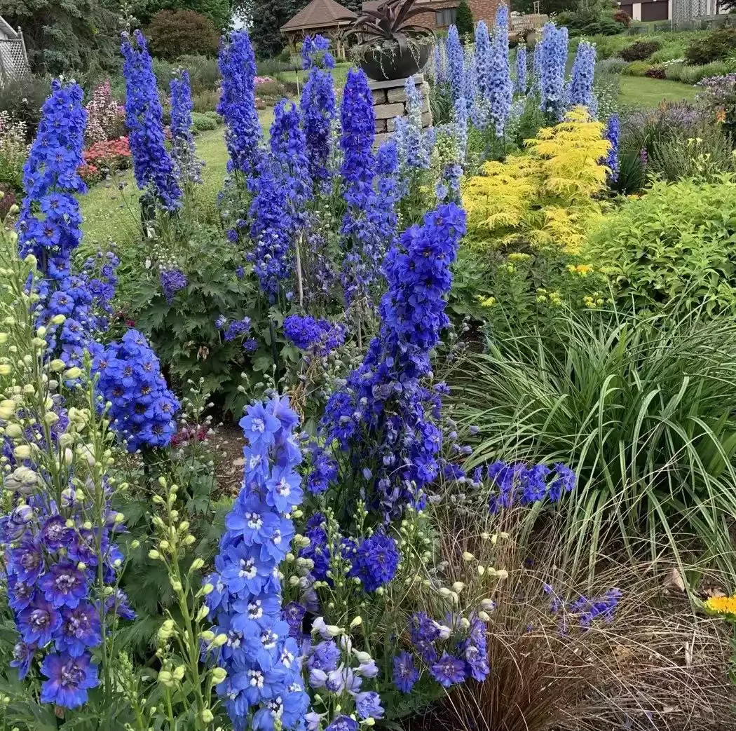 37 Stunning Flower Bed Designs That Will Transform Your Garden Try True Blues