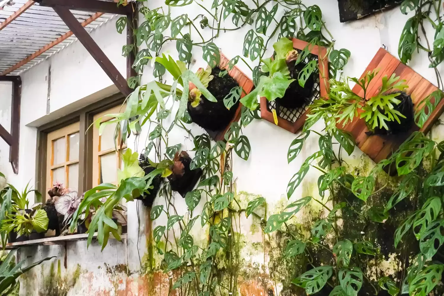 23 Budget-Friendly Front Yard Makeover Ideas That Will Wow Your Neighbors Try Vertical Gardens