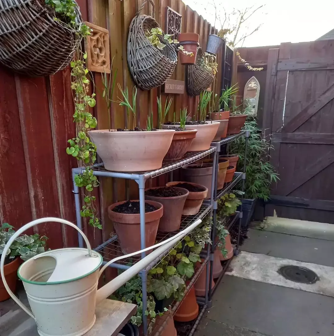 Try a New Kind of Planter