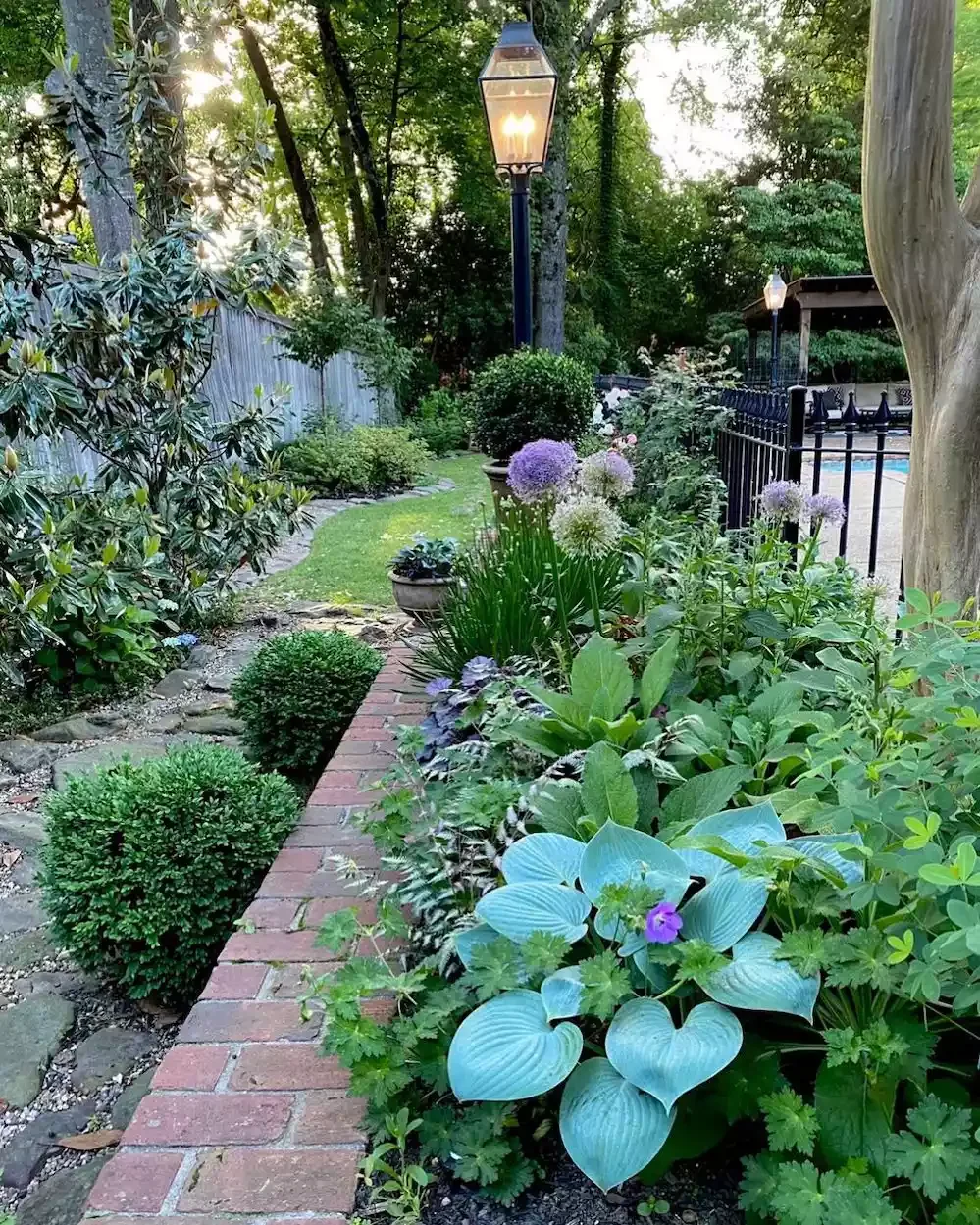 14 Stunning Hosta Garden Ideas That Will Transform Your Outdoor Space Try a Range of Leaves