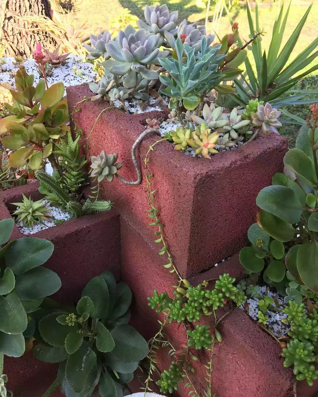 15 Budget-Friendly Cinder Block Garden Projects to Transform Your Outdoor Space 7 Try a Rusty Red Paint