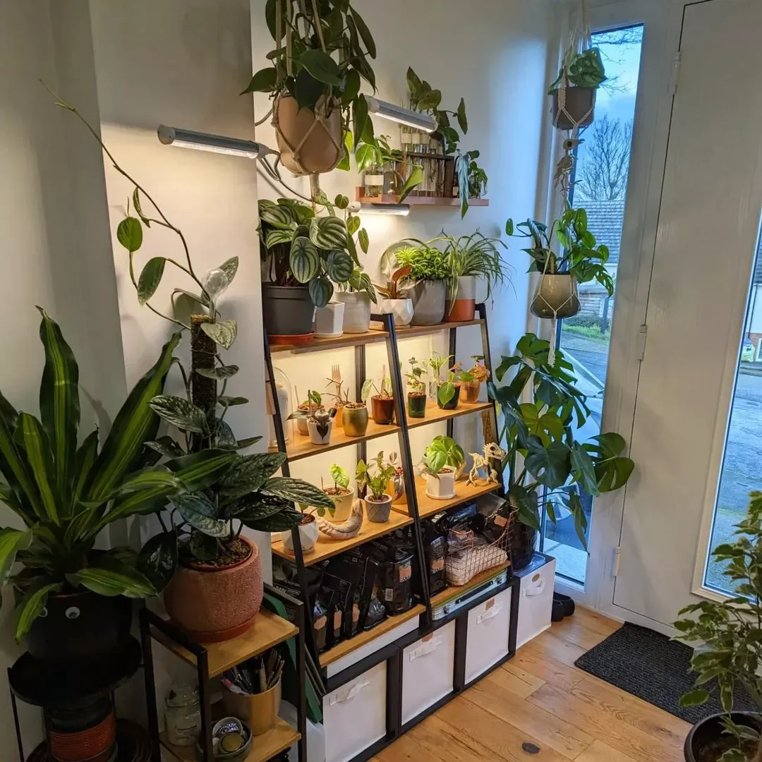 15 Creative Plant Display Ideas That'll Transform Your Home Into a Green Paradise 4 Try a Tiered Plant Shelf