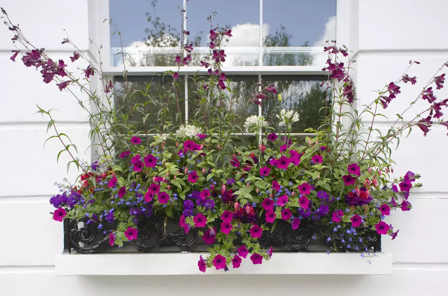Try a Tiny Window Box Garden
