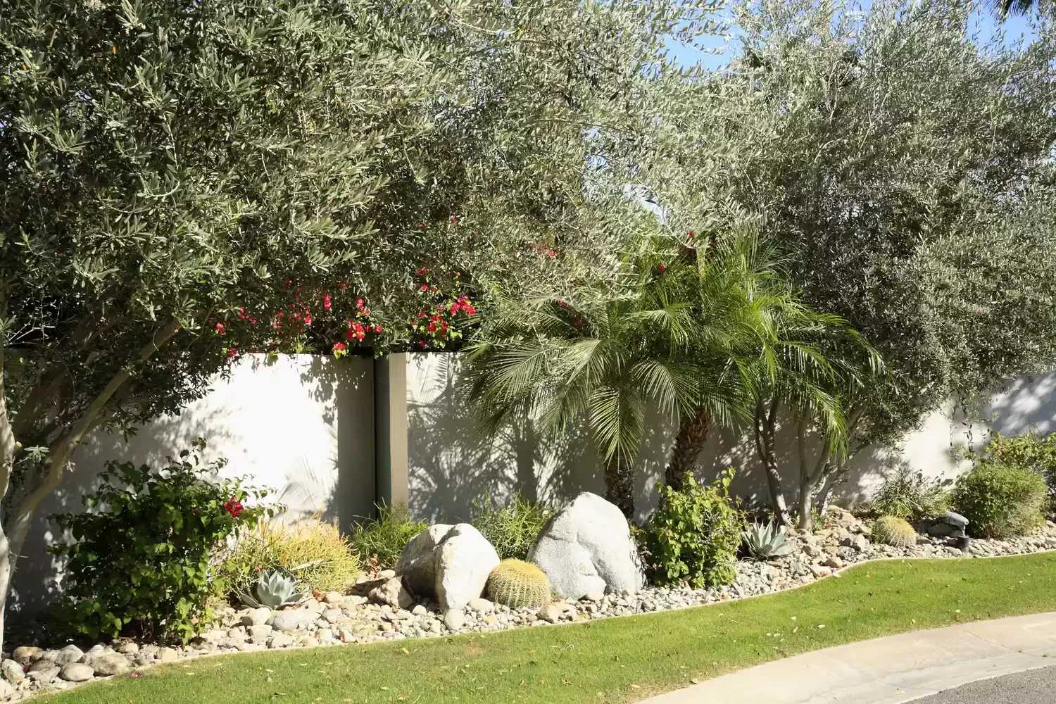 Try a Xeriscape Rock Garden