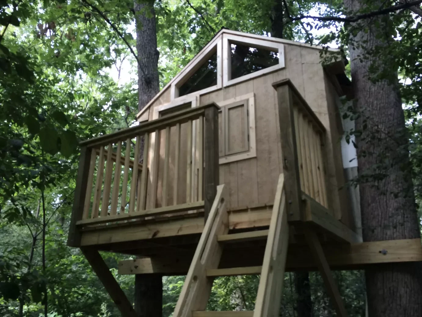 28 Amazing Treehouse Design Ideas That Will Transform Your Backyard 22 Tuck a Treehouse Between Two Oaks