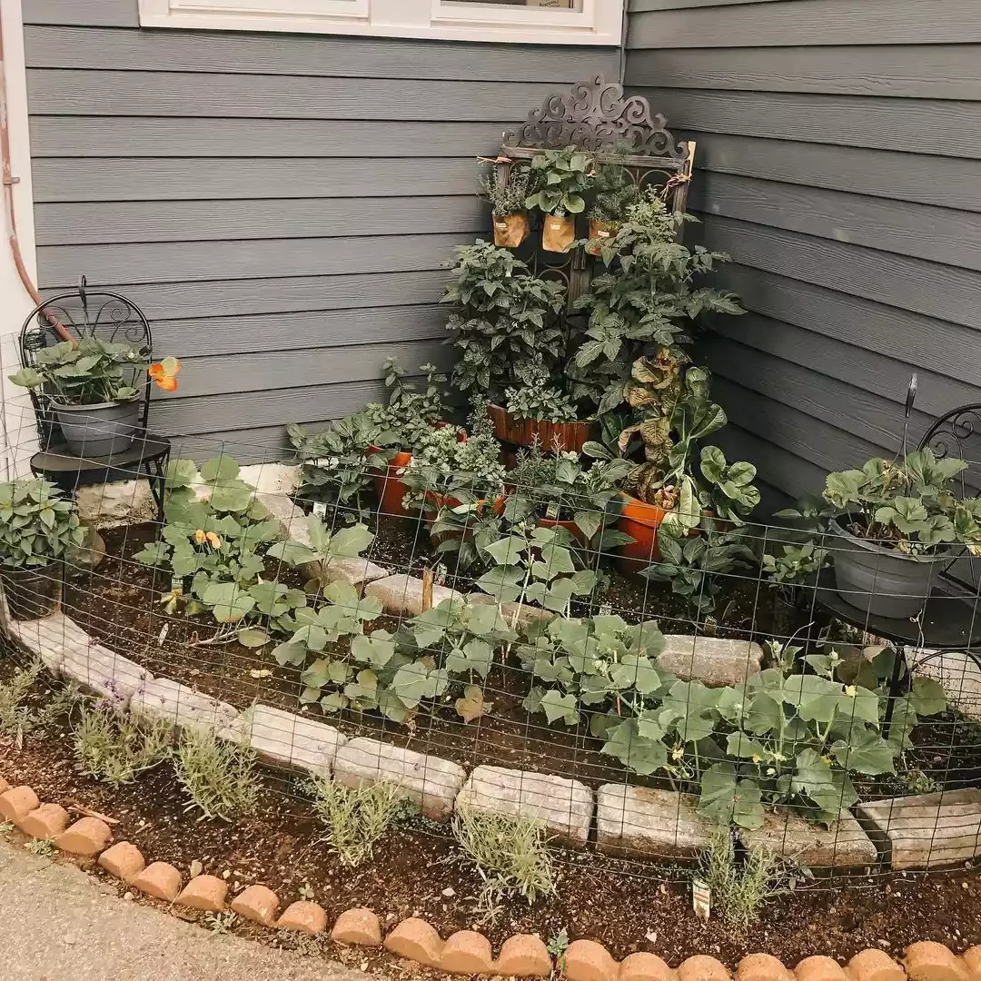 35 Corner Garden Designs That Transform Every Outdoor Space Tucked Away Corner Garden