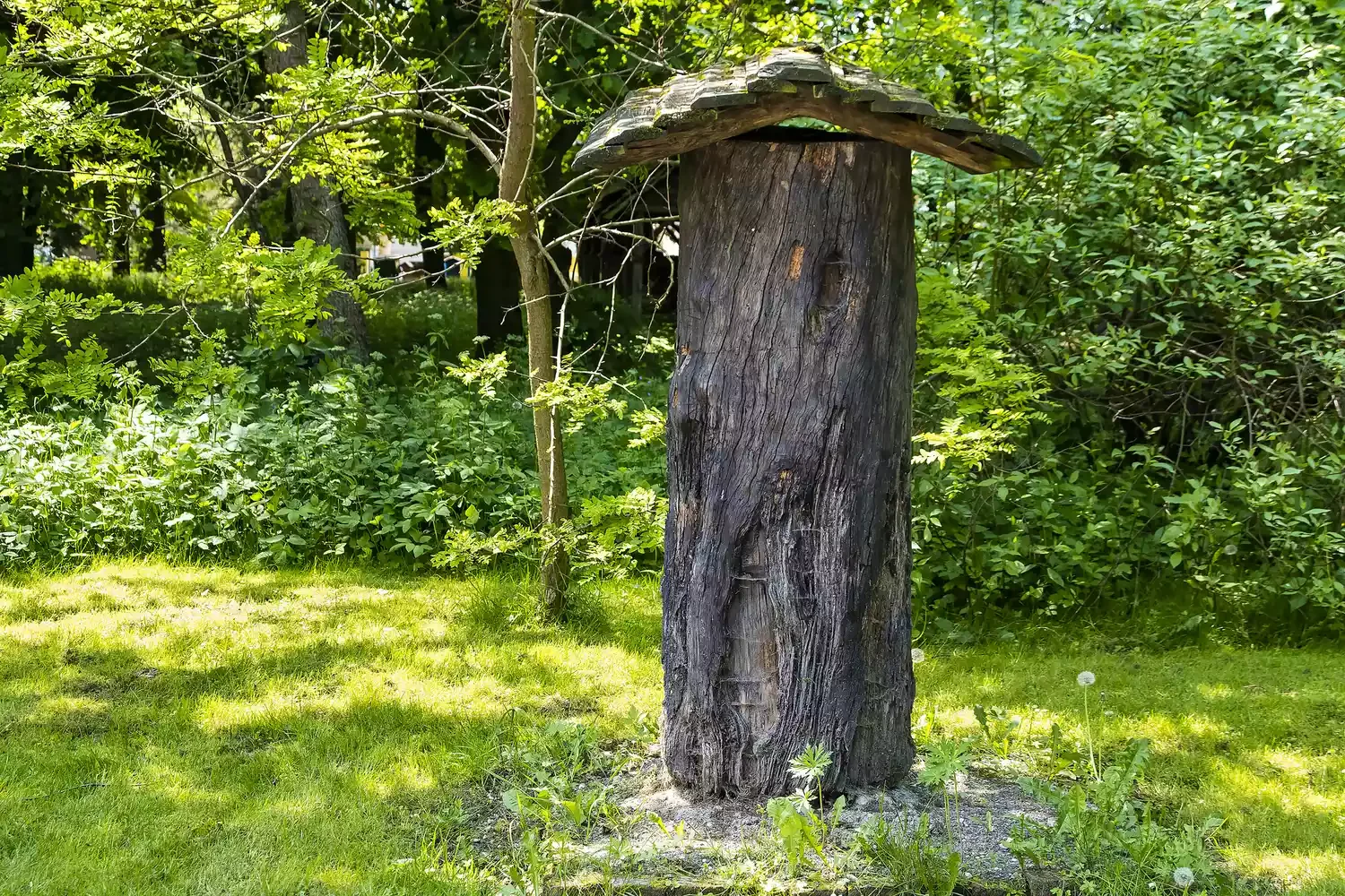 Turn It Into a Natural Beehive