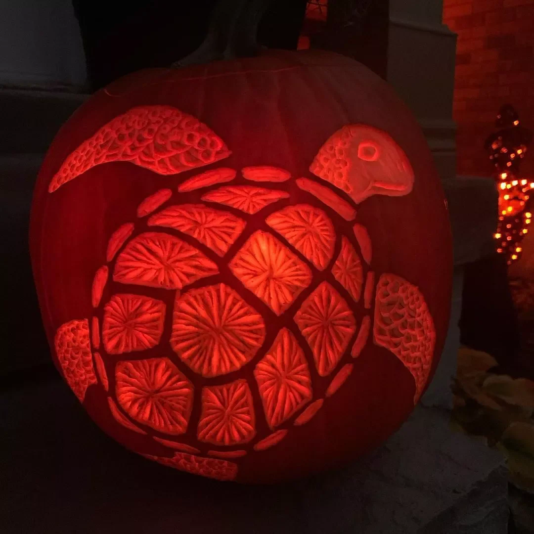 77 Creative Pumpkin Carving Ideas That'll Transform Your Fall Decorating Game 54 Turtle Pumpkin