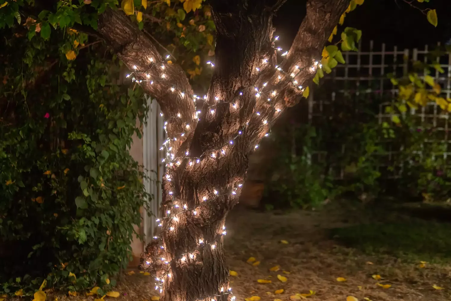 26 Whimsical Fairy Garden Ideas That Will Transform Your Backyard Into Pure Magic Twinkling Lights