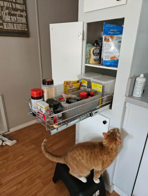 24 Storage Ideas For Tiny Homes You Can't Live Without Under Sink Pull Out Drawers