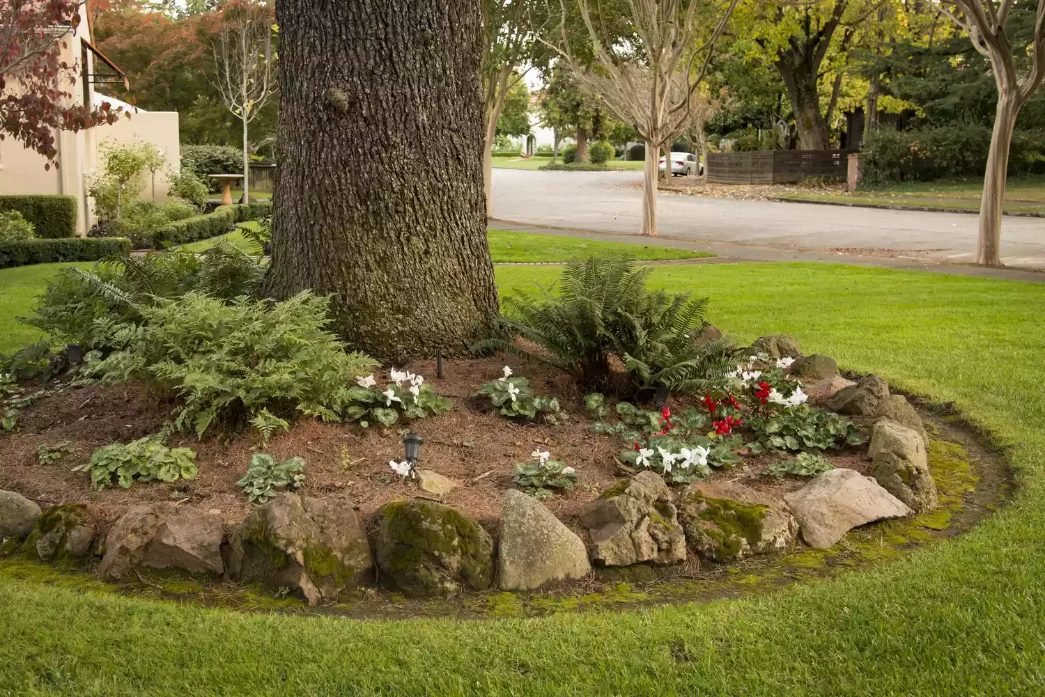 30 Stunning Front Yard Ideas Using Rocks and Mulch Under a Tree Garden