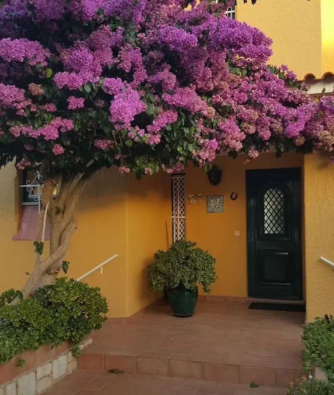 82 Stunning Front Yard Landscaping Ideas to Transform Your Home's Curb Appeal This Spring Unexpected Contrasting Colors