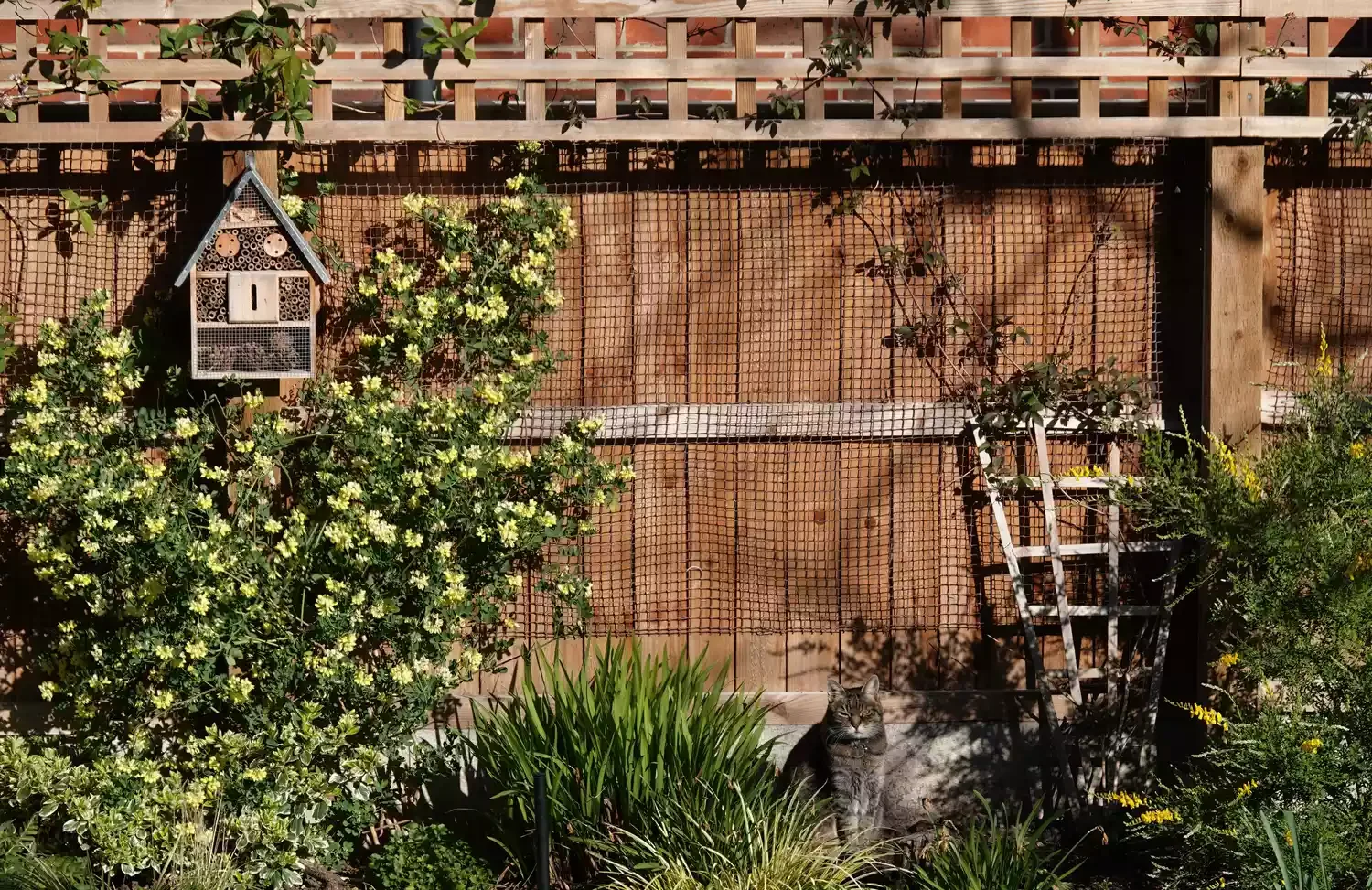 Use Chicken Wire for a Rustic Climbing Garden
