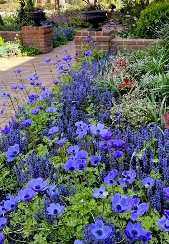 13 Effortless Garden Border Ideas That'll Transform Your Outdoor Space Use Color Block Design
