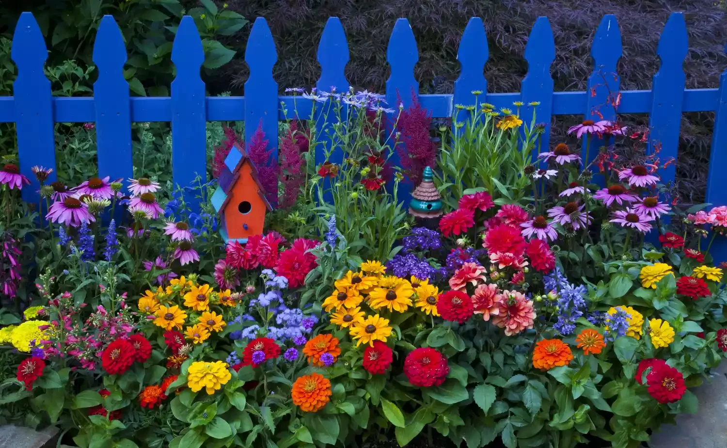 Use Color Boldly