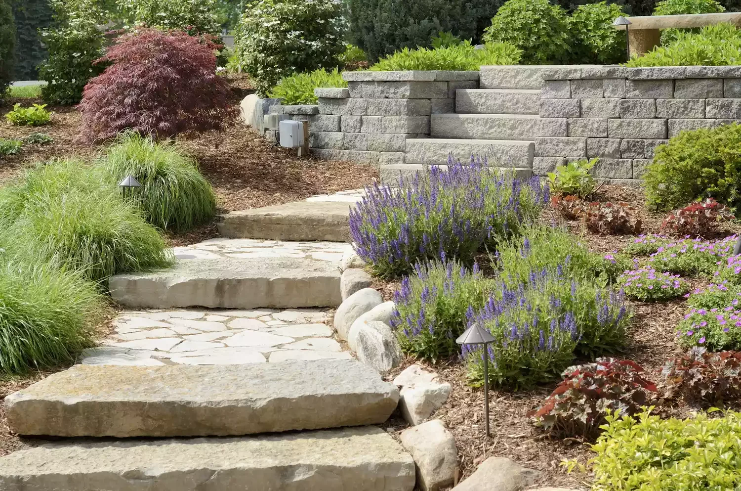 34 Stunning Front Yard Flower Bed Ideas That Will Transform Your Curb Appeal 11 Use Drought-Tolerant Plants in Dry Climates