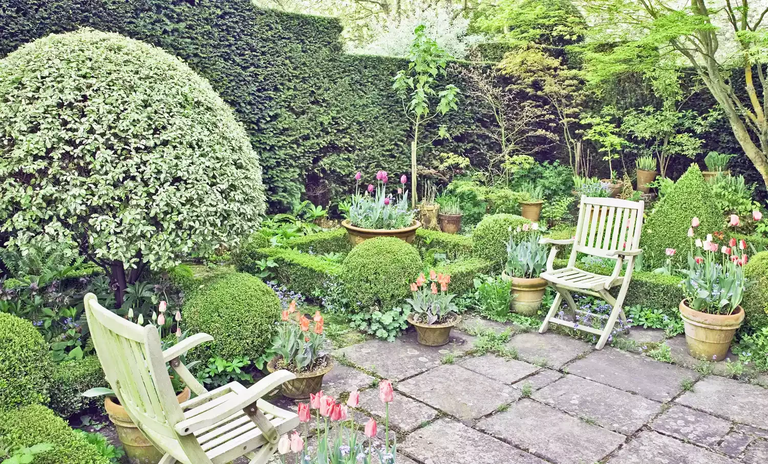 Use Geometrical Plants to Add Formality