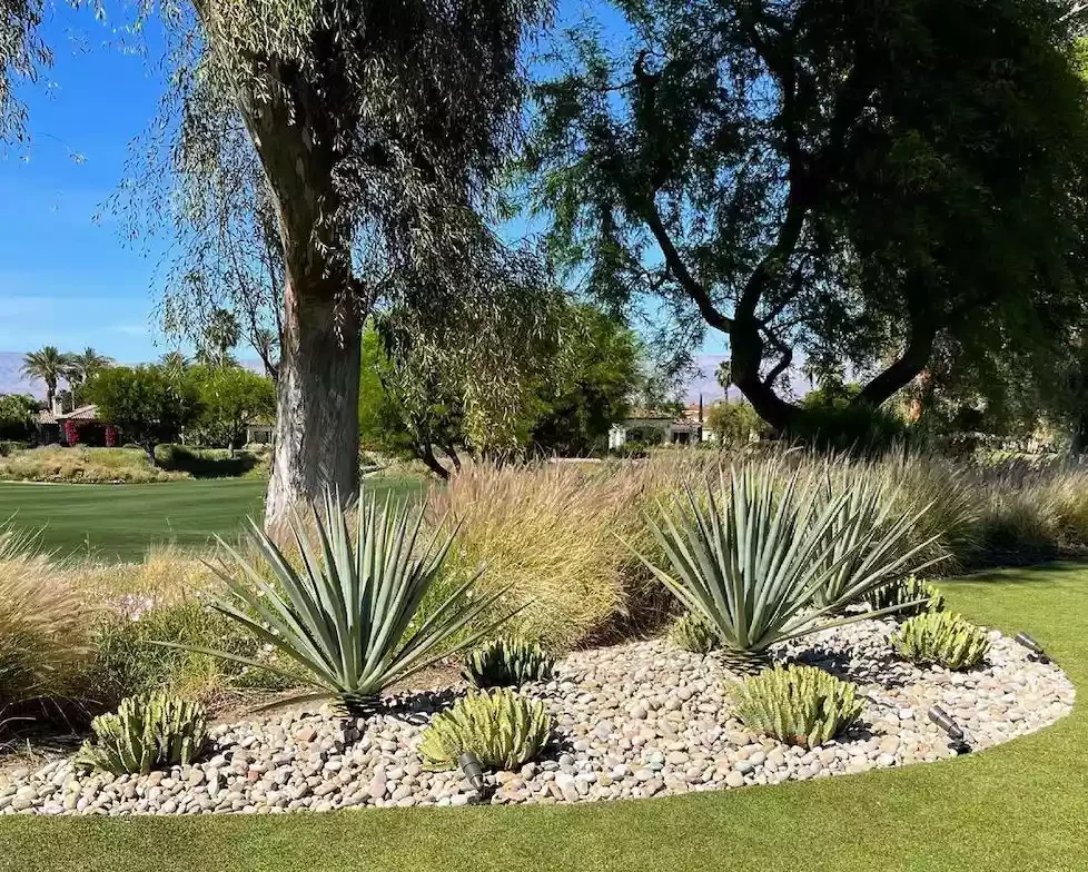 25 Breathtaking Desert Landscaping Ideas That Thrive in Hot Climates Use Gravel and Stone