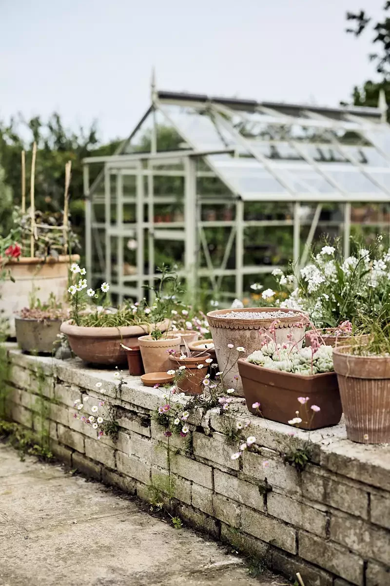 15 Charming Rustic Garden Design Ideas to Transform Your Outdoor Space Use Mismatched Pots