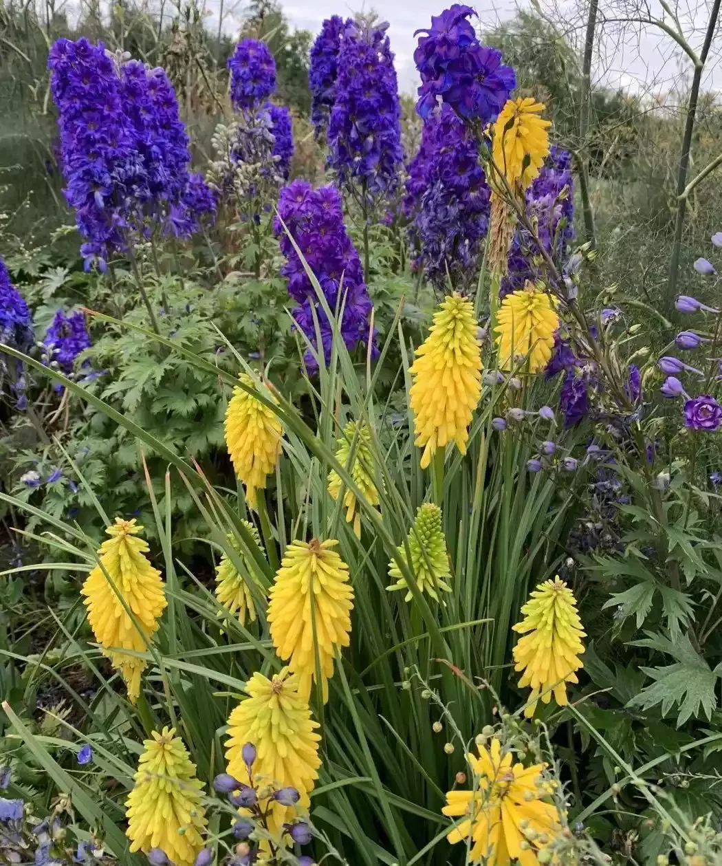 37 Stunning Flower Bed Designs That Will Transform Your Garden Use Opposing Colors