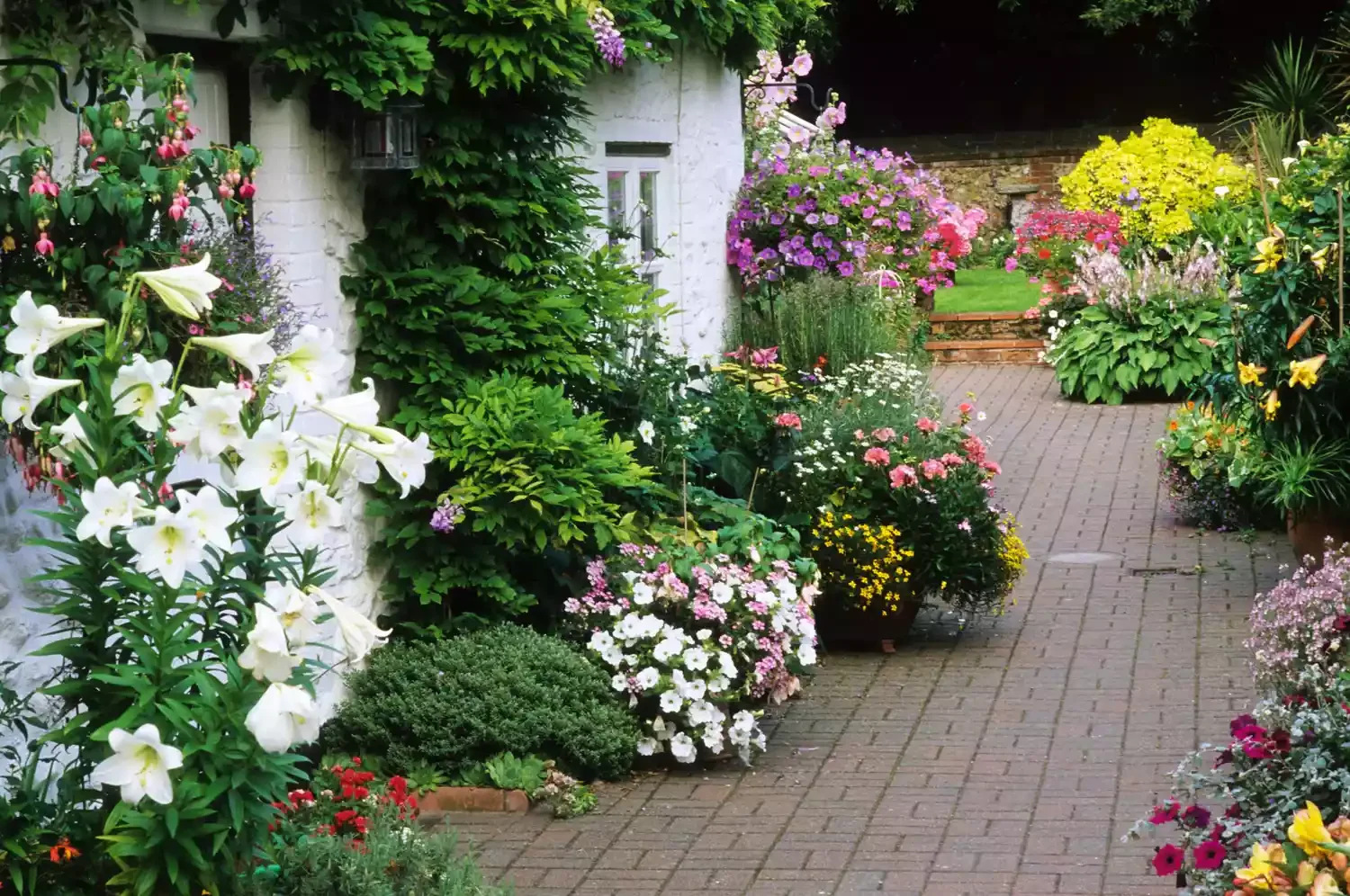 Use Perennials to Add Color
