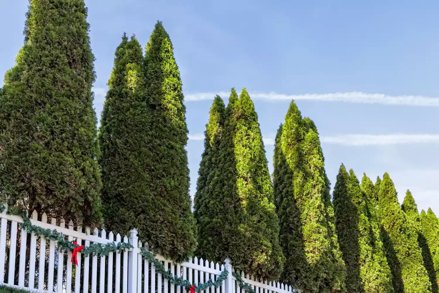 52 Stunning Wooden Fence Designs That Add Rustic Charm to Your Outdoor Space Use Trees for a Natural Wood Fence