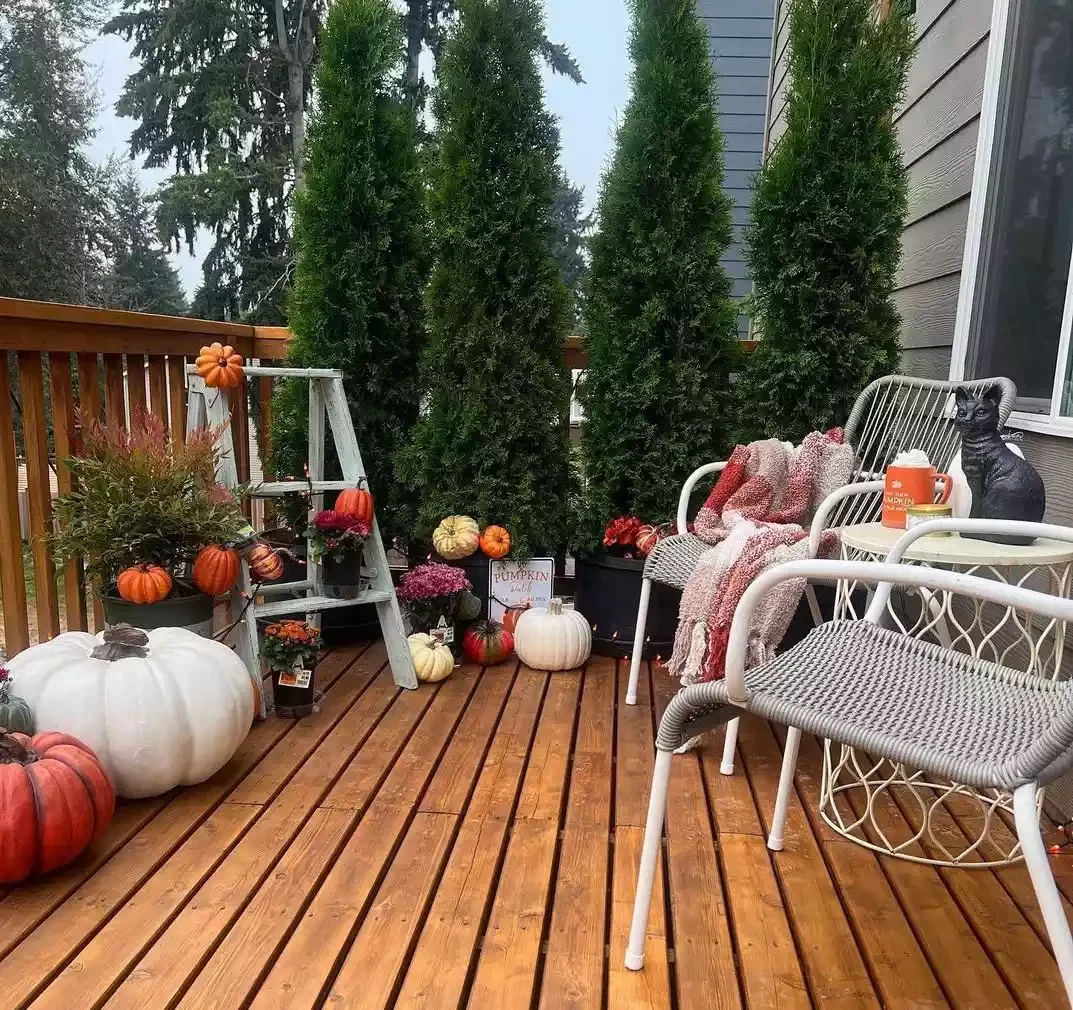30 Creative Ways to Transform Your Small Deck Into a Stunning Outdoor Retreat 11 Use Trees to Make a Privacy Wall