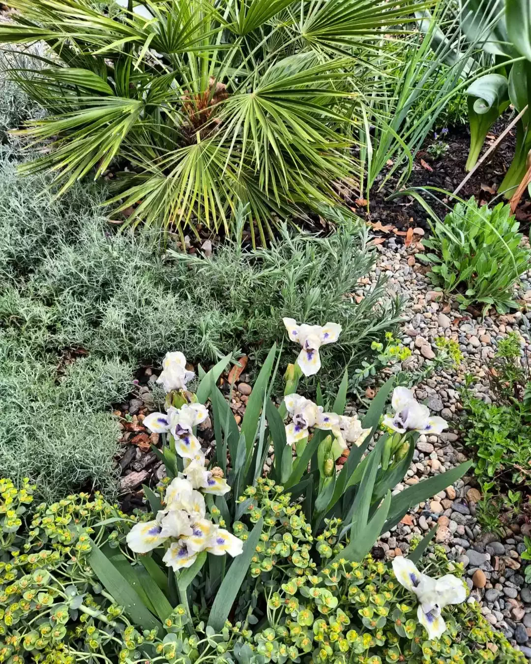 13 Effortless Garden Border Ideas That'll Transform Your Outdoor Space Use Uplifting Miniatures